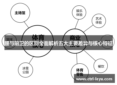 腰与前卫的区别全面解析五大主要差异与核心特征