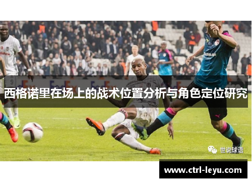 西格诺里在场上的战术位置分析与角色定位研究