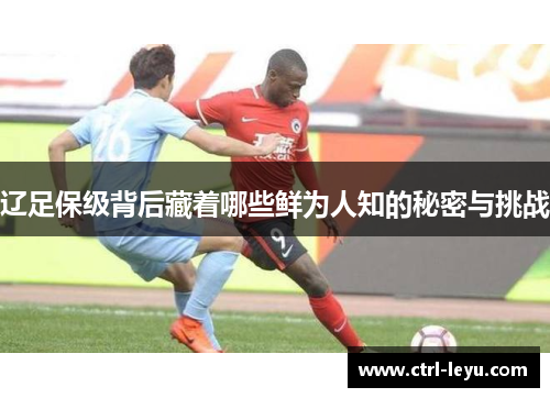 辽足保级背后藏着哪些鲜为人知的秘密与挑战